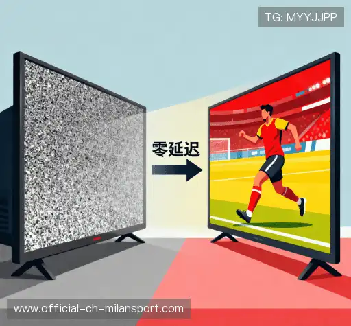 我们的核心竞争力